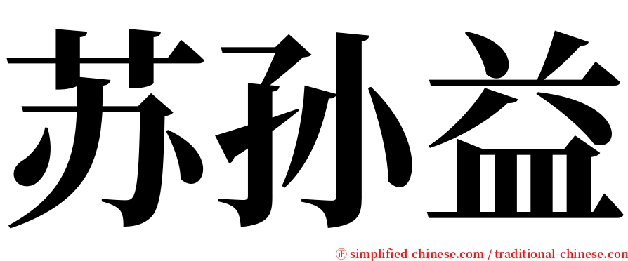 苏孙益 serif font