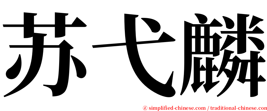 苏弋麟 serif font