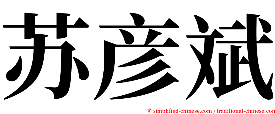苏彦斌 serif font