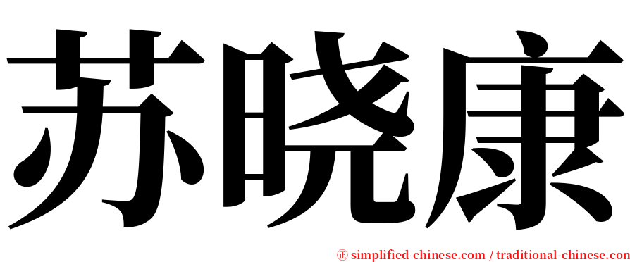 苏晓康 serif font