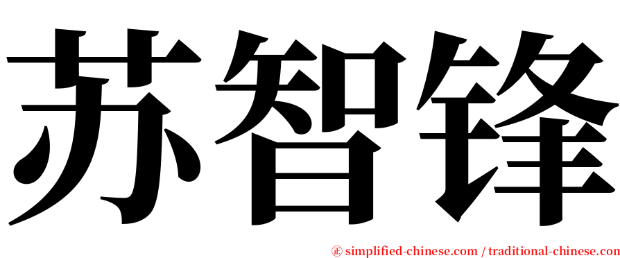 苏智锋 serif font