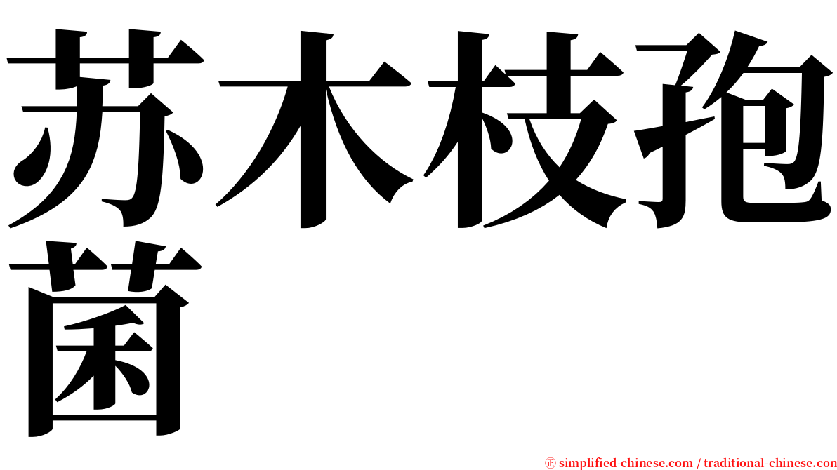 苏木枝孢菌 serif font