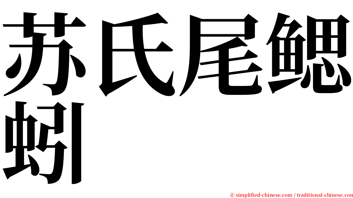 苏氏尾鳃蚓 serif font