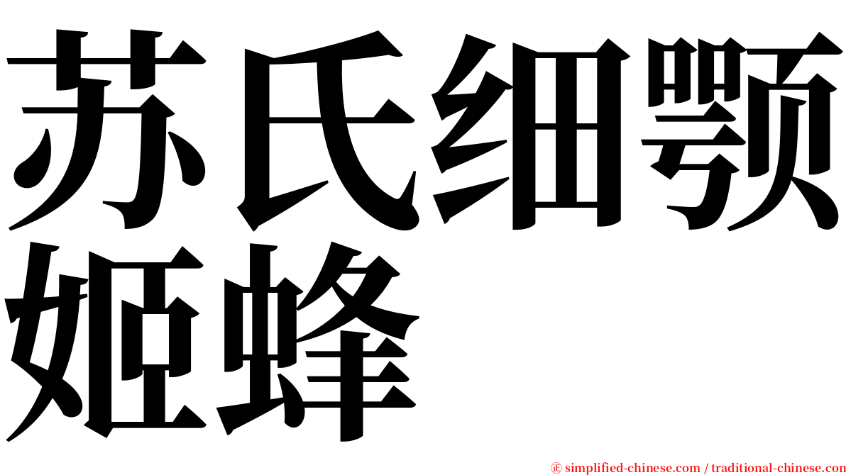 苏氏细颚姬蜂 serif font