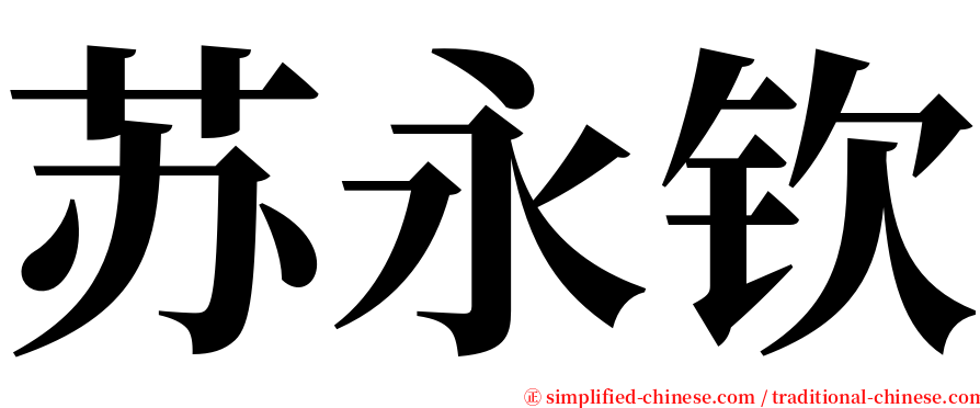 苏永钦 serif font