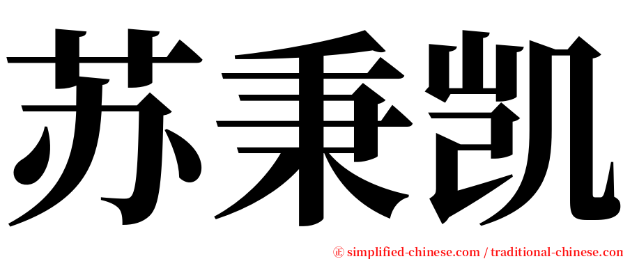 苏秉凯 serif font