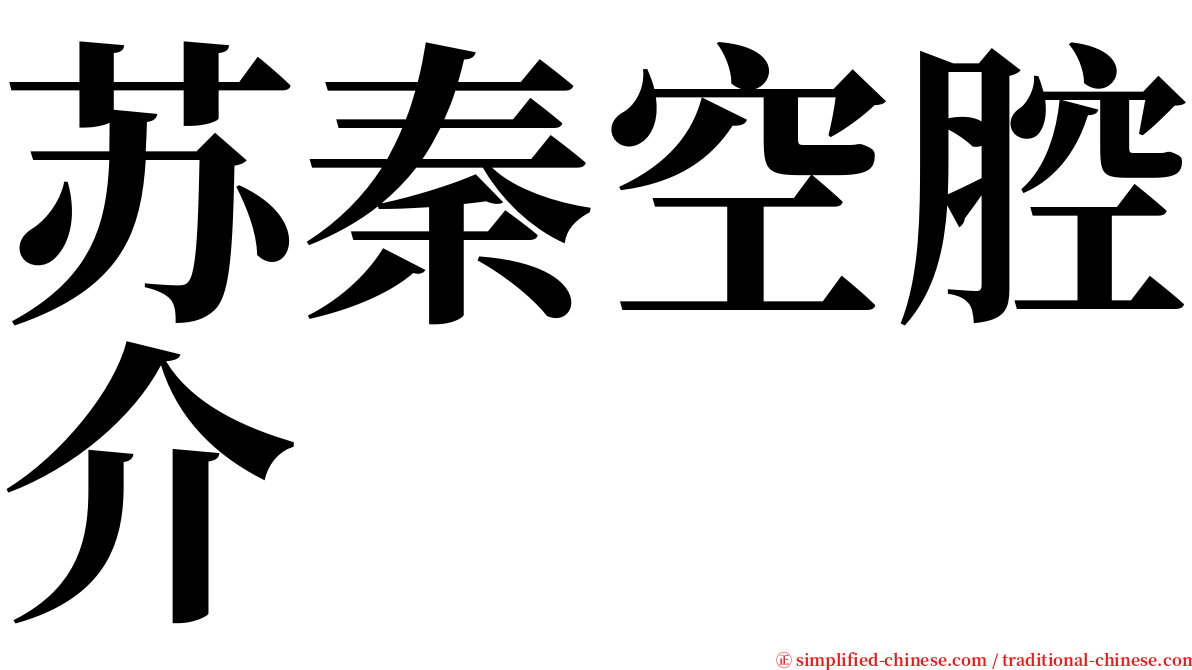 苏秦空腔介 serif font