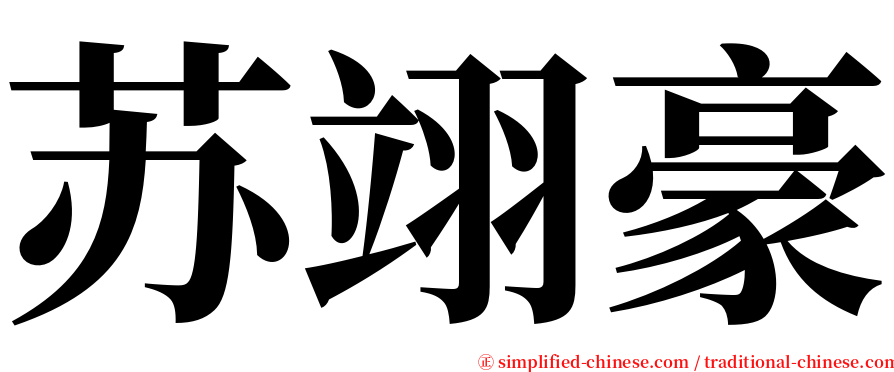 苏翊豪 serif font