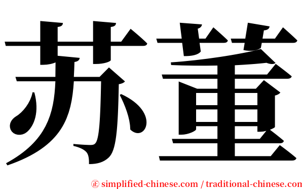 苏董 serif font