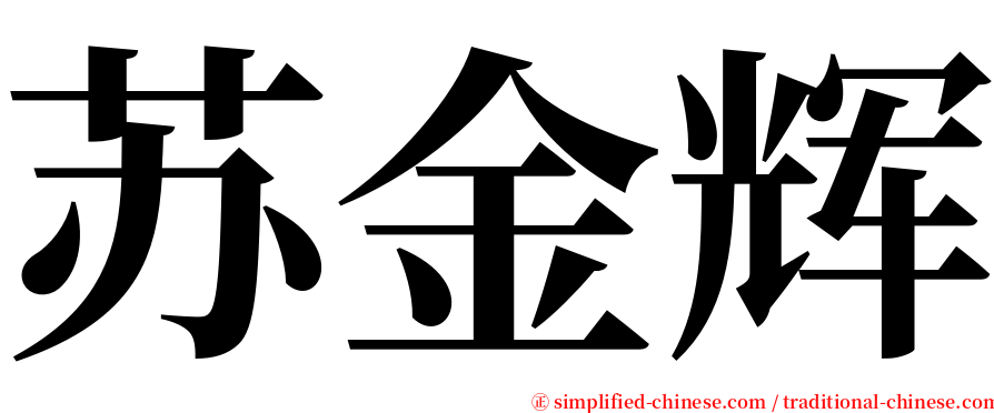 苏金辉 serif font