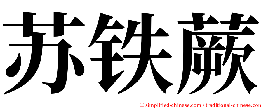 苏铁蕨 serif font