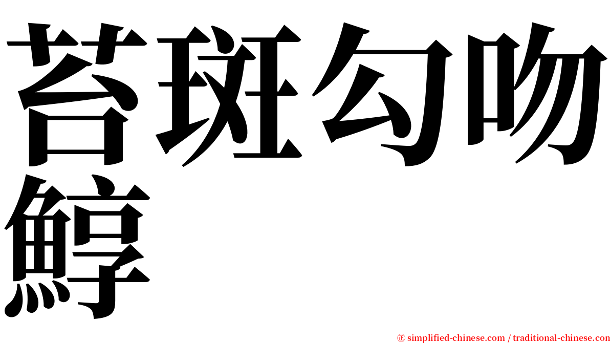 苔斑勾吻鯙 serif font