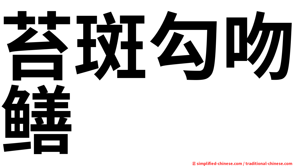 苔斑勾吻鳝