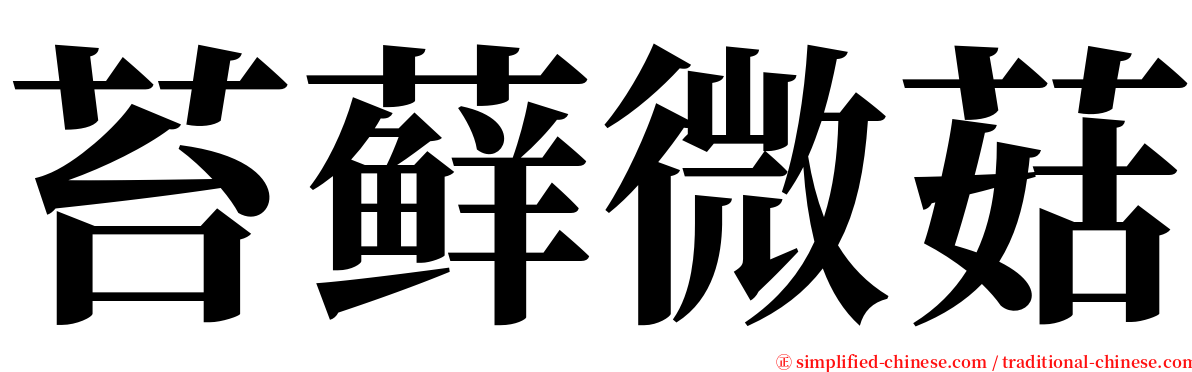 苔藓微菇 serif font