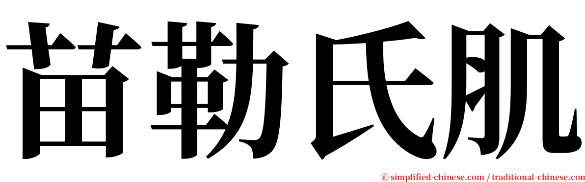 苗勒氏肌 serif font