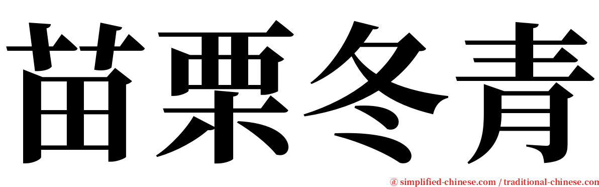 苗栗冬青 serif font