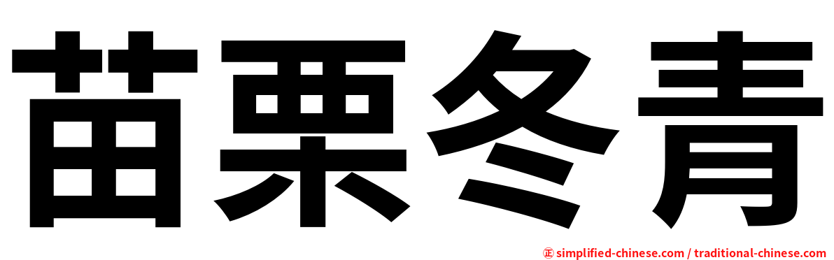 苗栗冬青