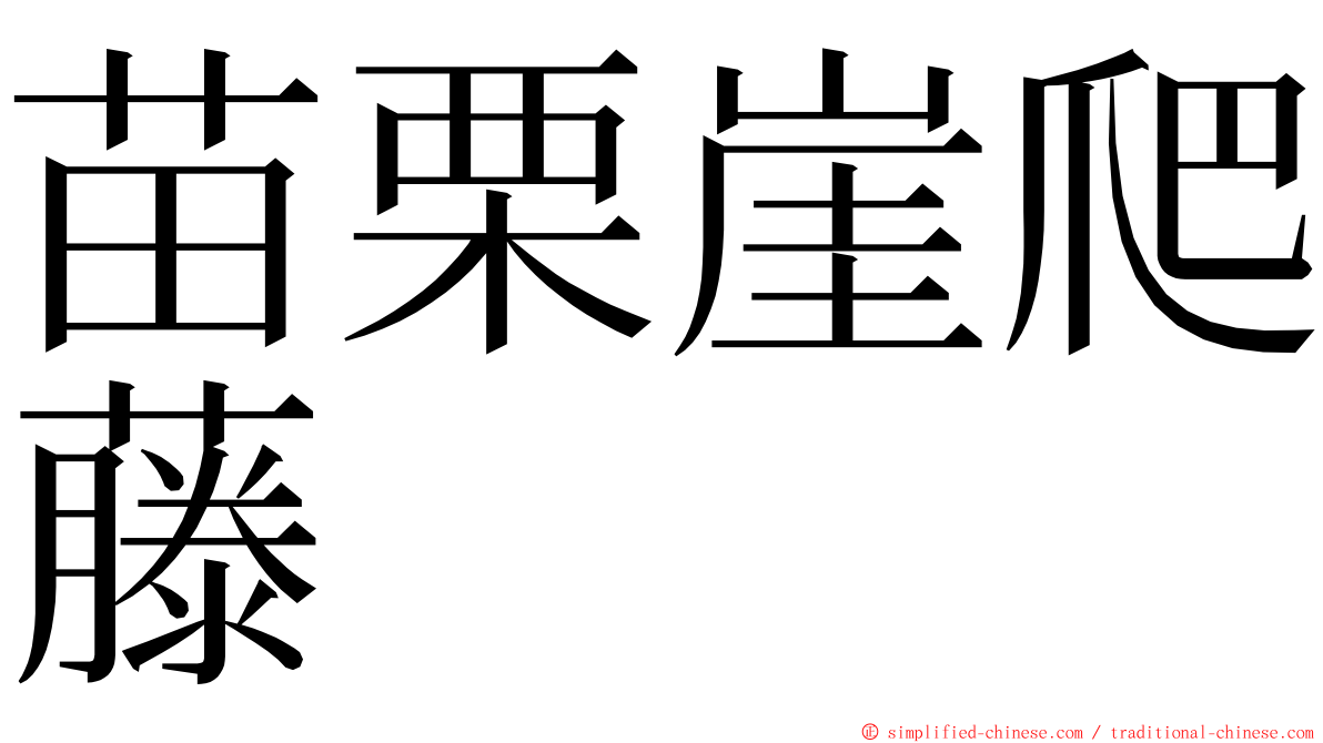 苗栗崖爬藤 ming font