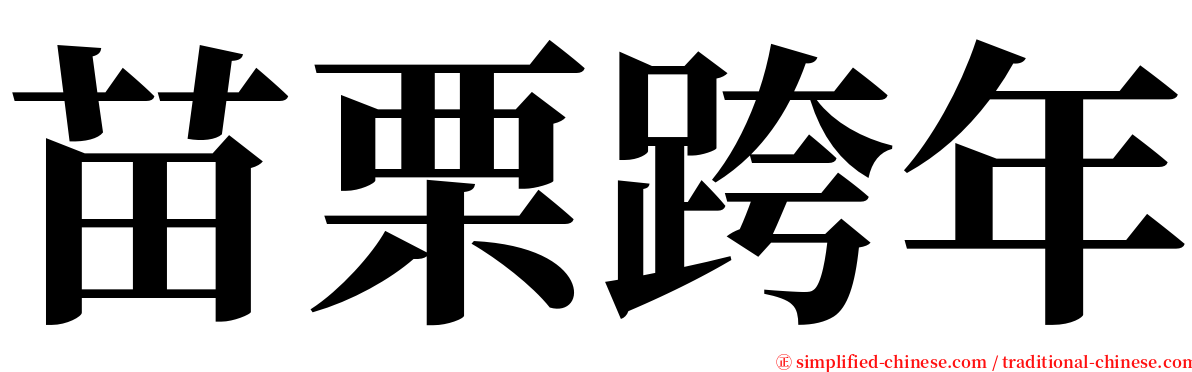 苗栗跨年 serif font