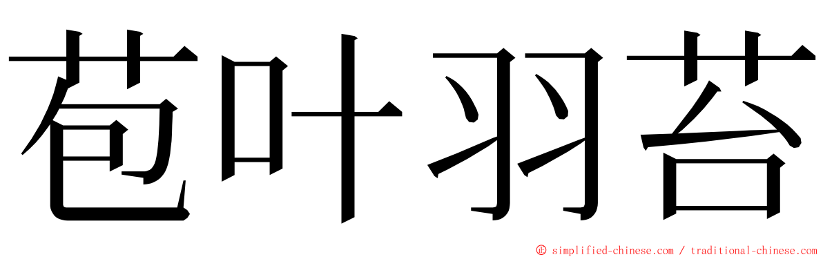 苞叶羽苔 ming font