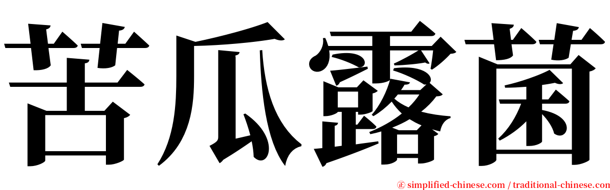 苦瓜露菌 serif font