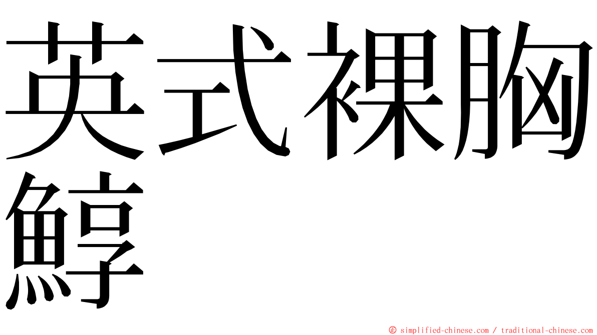 英式裸胸鯙 ming font