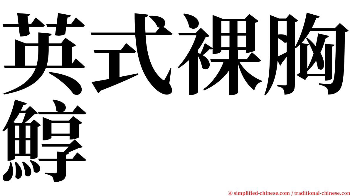 英式裸胸鯙 serif font