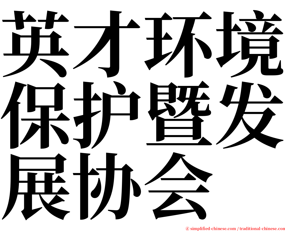 英才环境保护暨发展协会 serif font