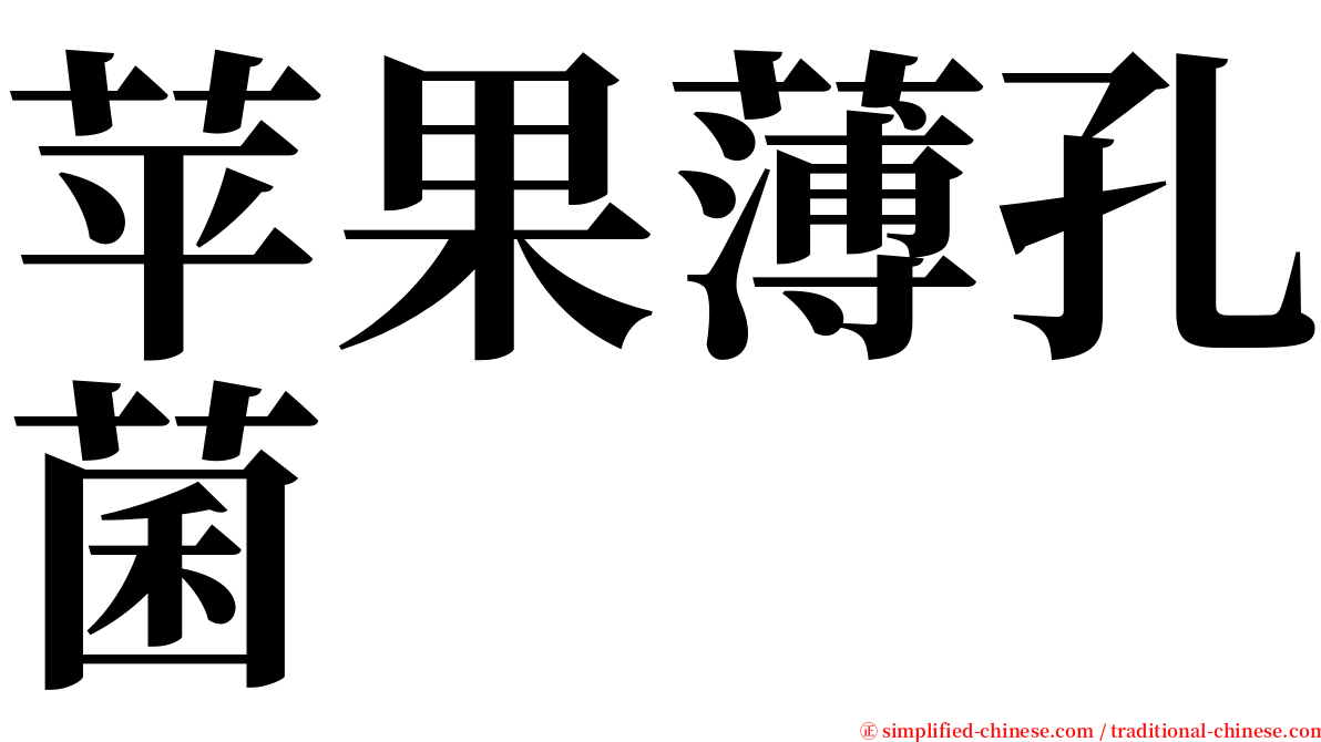 苹果薄孔菌 serif font