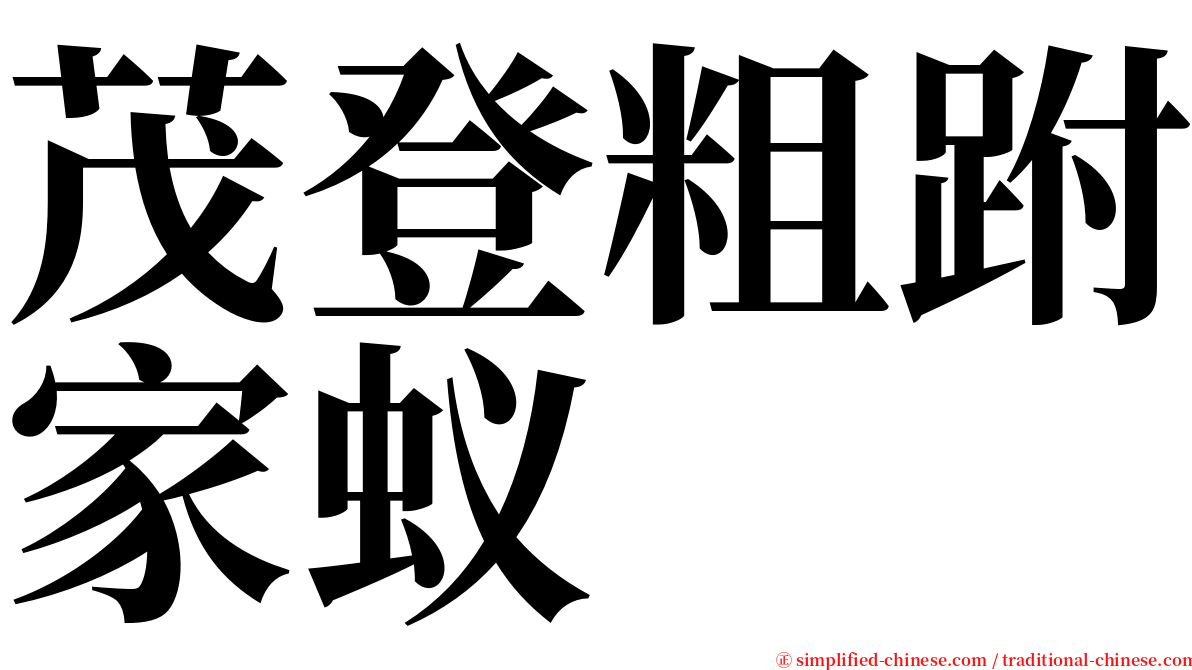 茂登粗跗家蚁 serif font