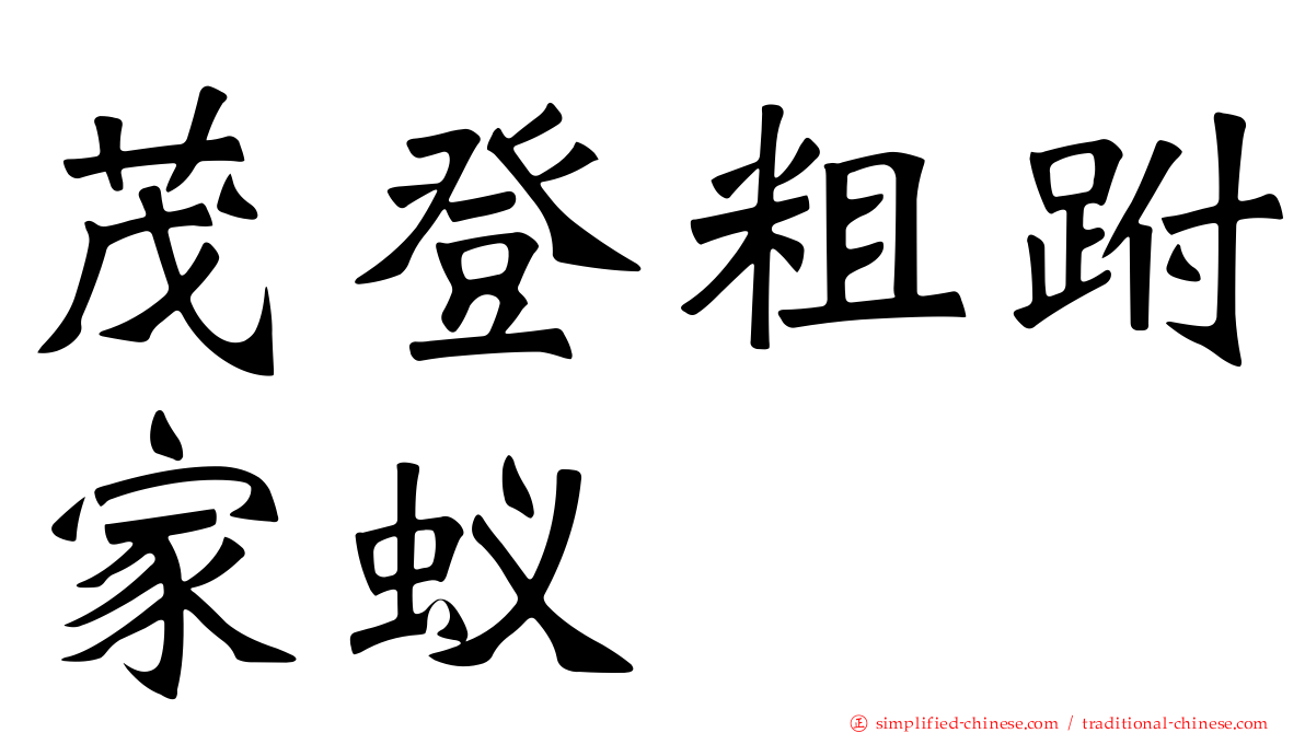 茂登粗跗家蚁