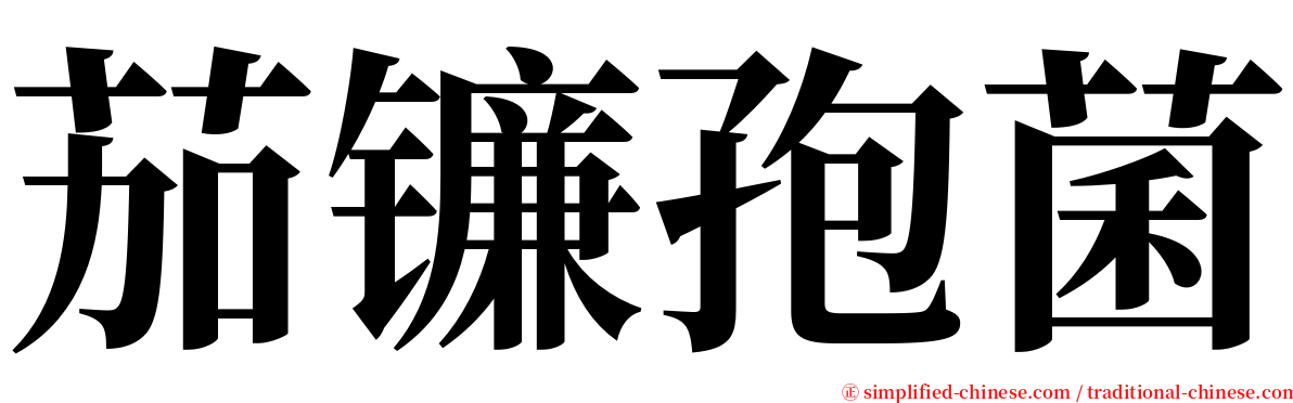 茄镰孢菌 serif font