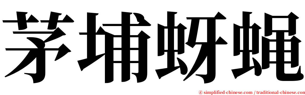 茅埔蚜蝇 serif font