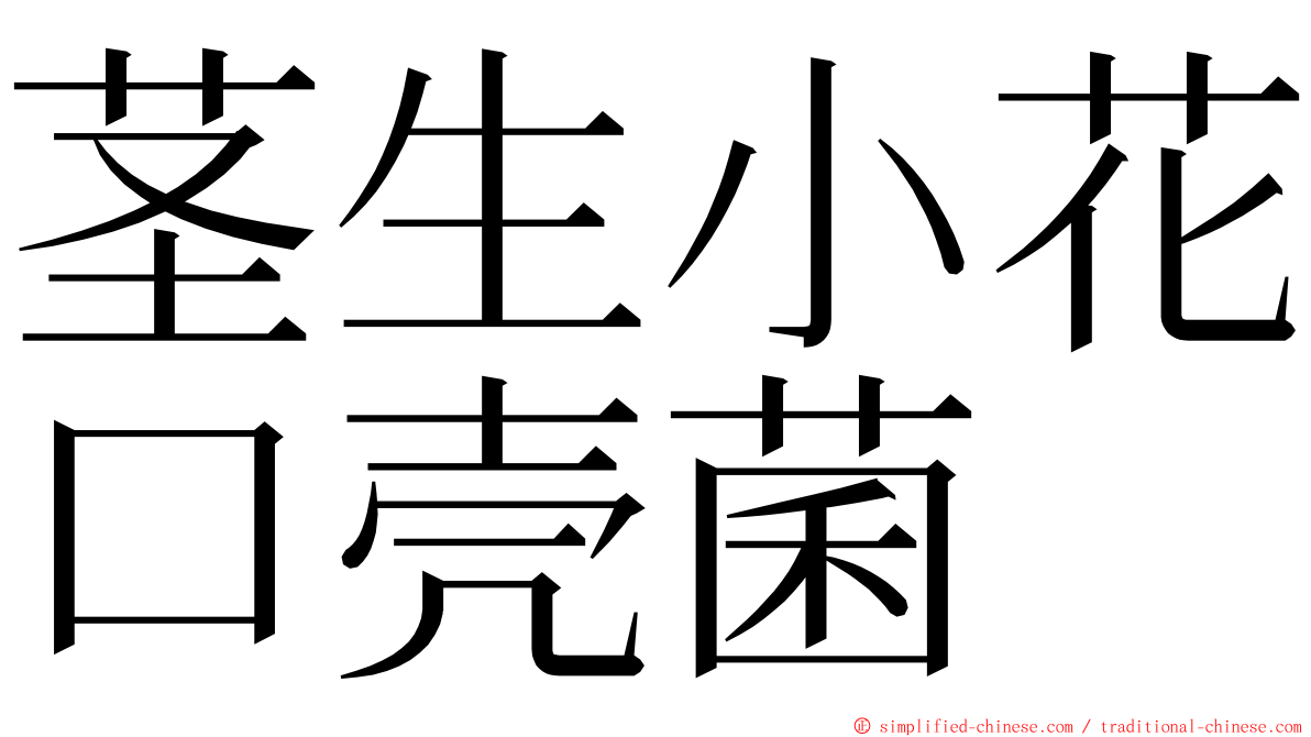 茎生小花口壳菌 ming font