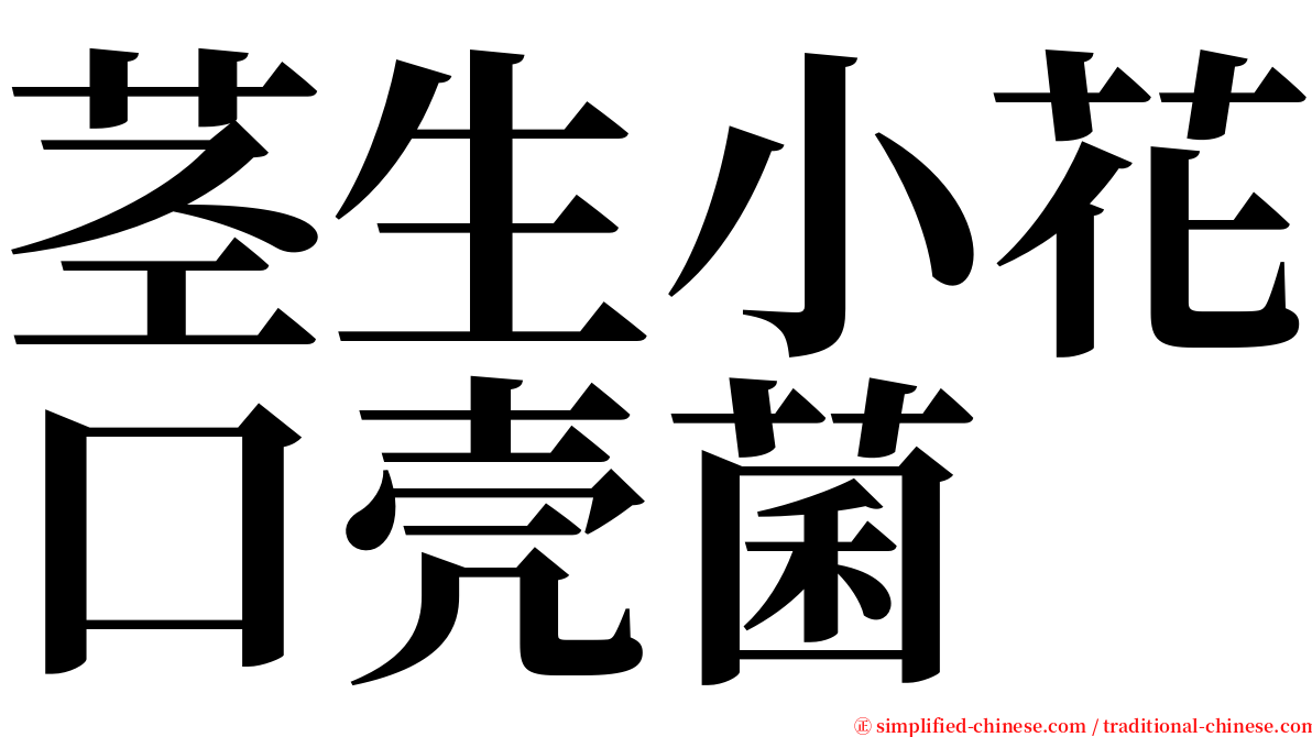 茎生小花口壳菌 serif font