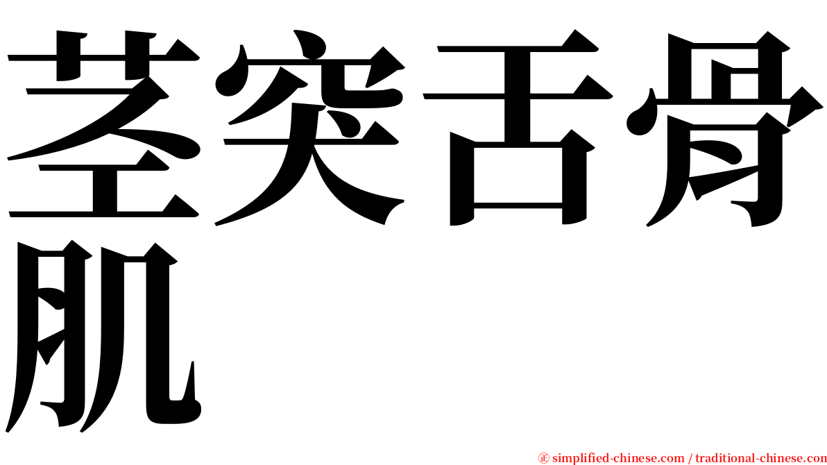 茎突舌骨肌 serif font