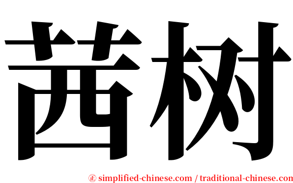 茜树 serif font