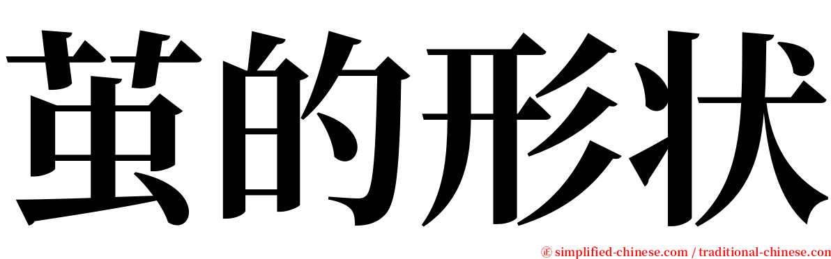 茧的形状 serif font