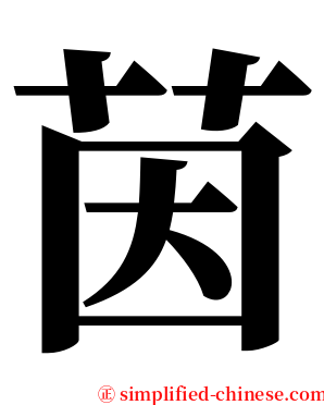 茵 serif font