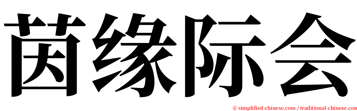 茵缘际会 serif font