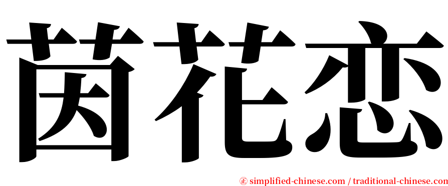 茵花恋 serif font