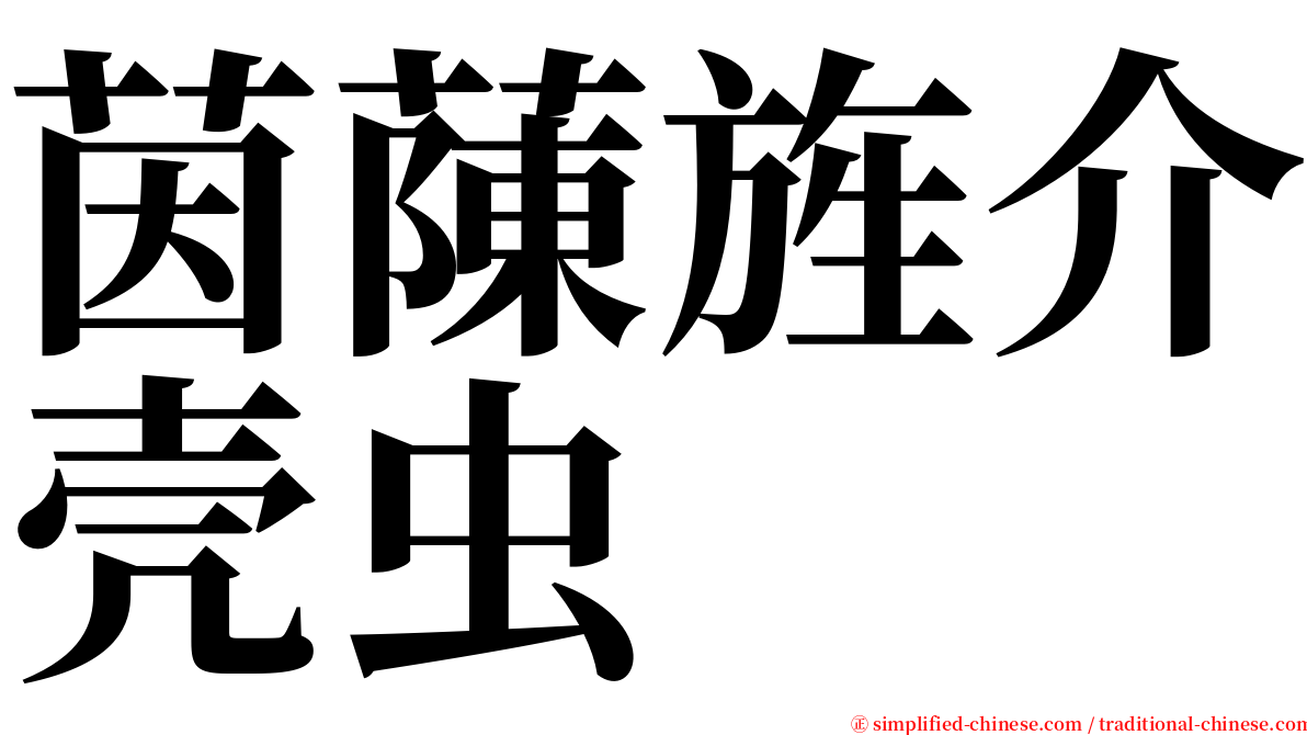 茵蔯旌介壳虫 serif font