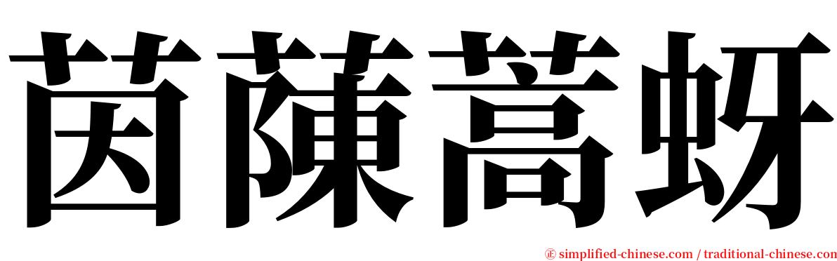 茵蔯蒿蚜 serif font