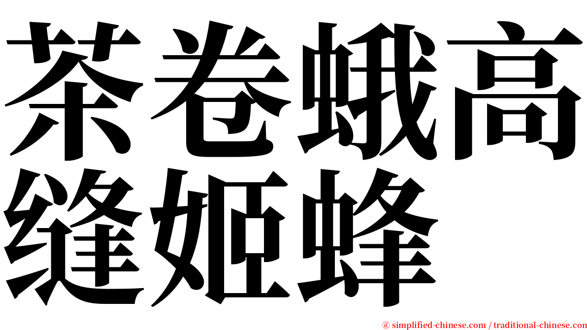 茶卷蛾高缝姬蜂 serif font