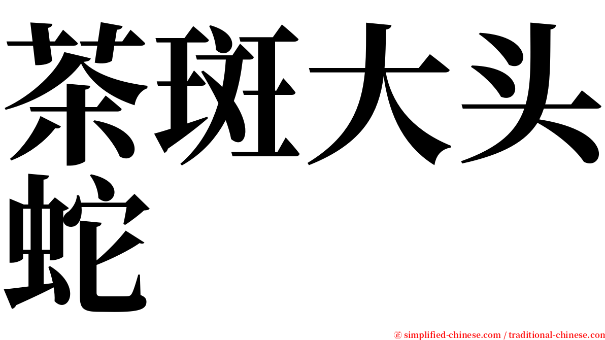 茶斑大头蛇 serif font