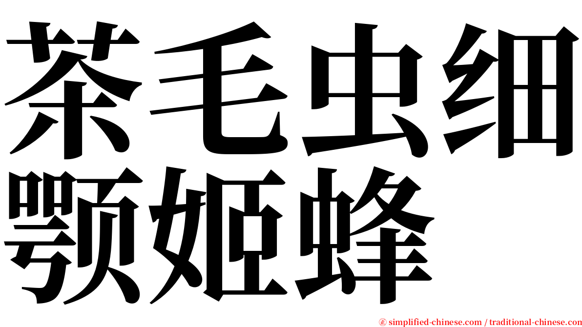 茶毛虫细颚姬蜂 serif font