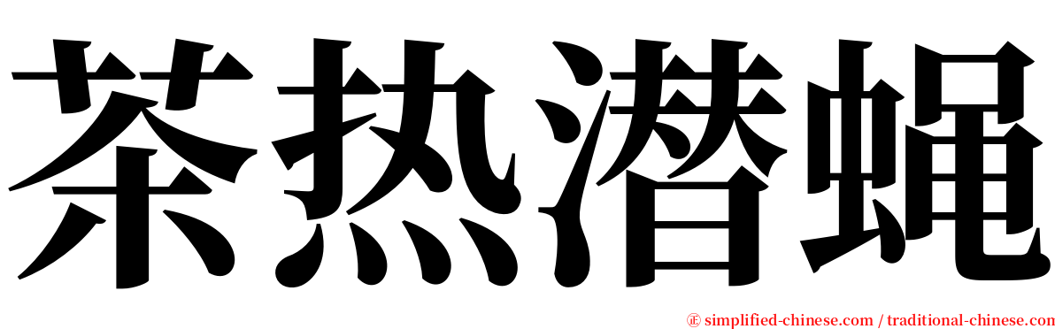 茶热潜蝇 serif font