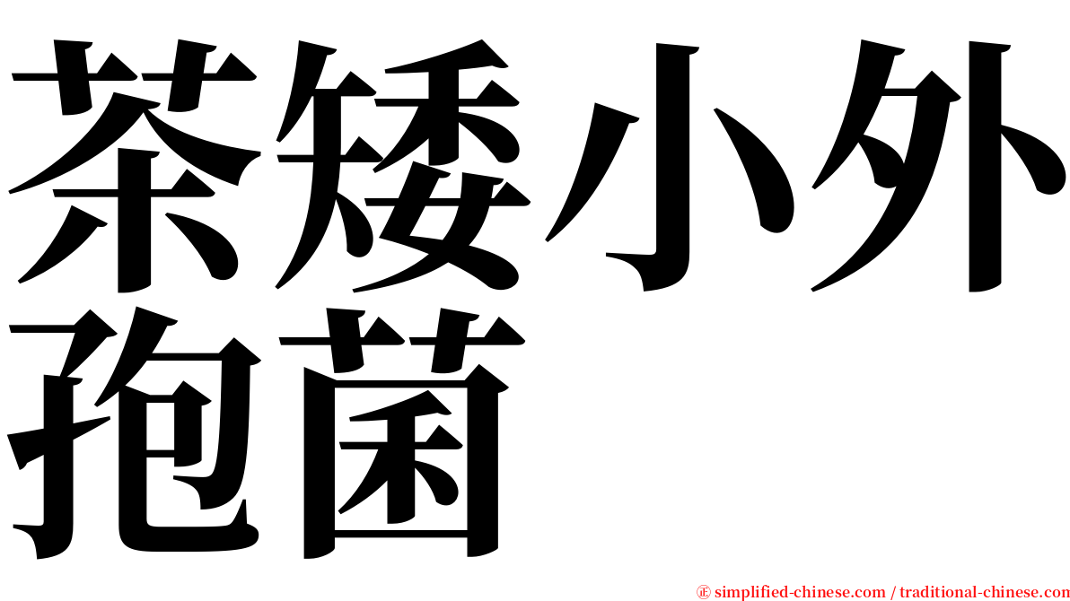 茶矮小外孢菌 serif font