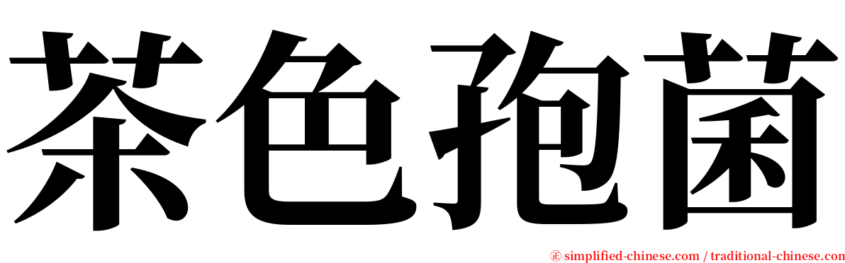 茶色孢菌 serif font