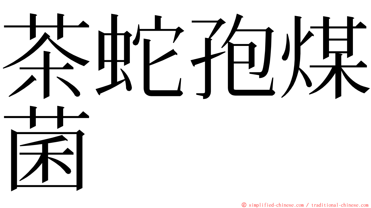 茶蛇孢煤菌 ming font